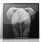 Framed acrylic wall art showcasing a vibrant animal design, featuring rich colors and intricate details, set against a sleek black frame for an elegant display.