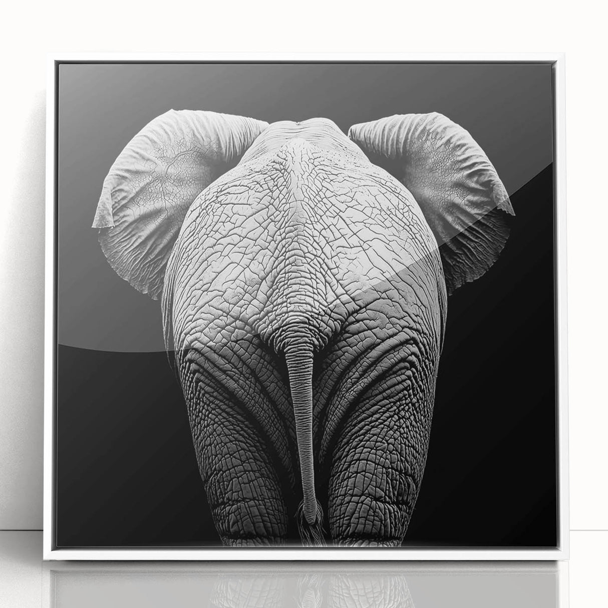 Framed acrylic wall art design showcasing a colorful collection of various animals, set in a sleek white frame. Ideal for enhancing modern home decor.