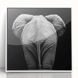 Framed acrylic wall art design showcasing a colorful collection of various animals, set in a sleek white frame. Ideal for enhancing modern home decor.