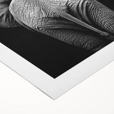 Rolled canvas art showcasing a vibrant design of various animals in a colorful, contemporary style, securely packaged in a durable cardboard tube for safe transport.