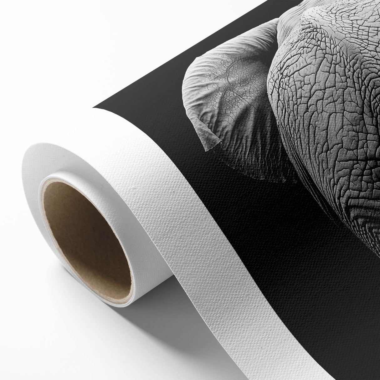 Rolled canvas artwork showcasing a vibrant design of various animals in a colorful, abstract style, elegantly packaged in a protective cardboard tube for easy display.