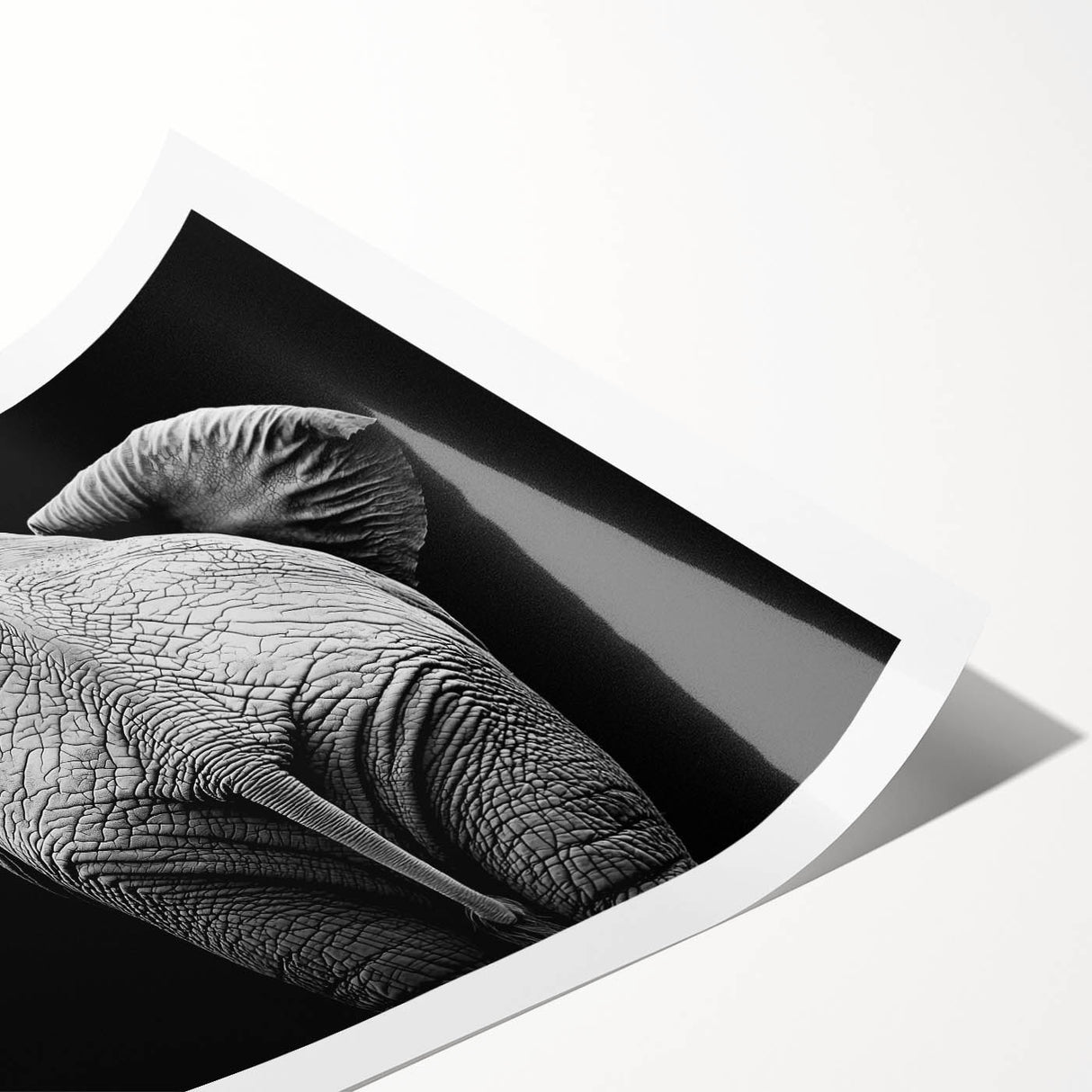 Rolled print showcasing a vibrant animal-themed design, featuring intricate details and bold colors, securely packaged in a protective cardboard tube for safe delivery.