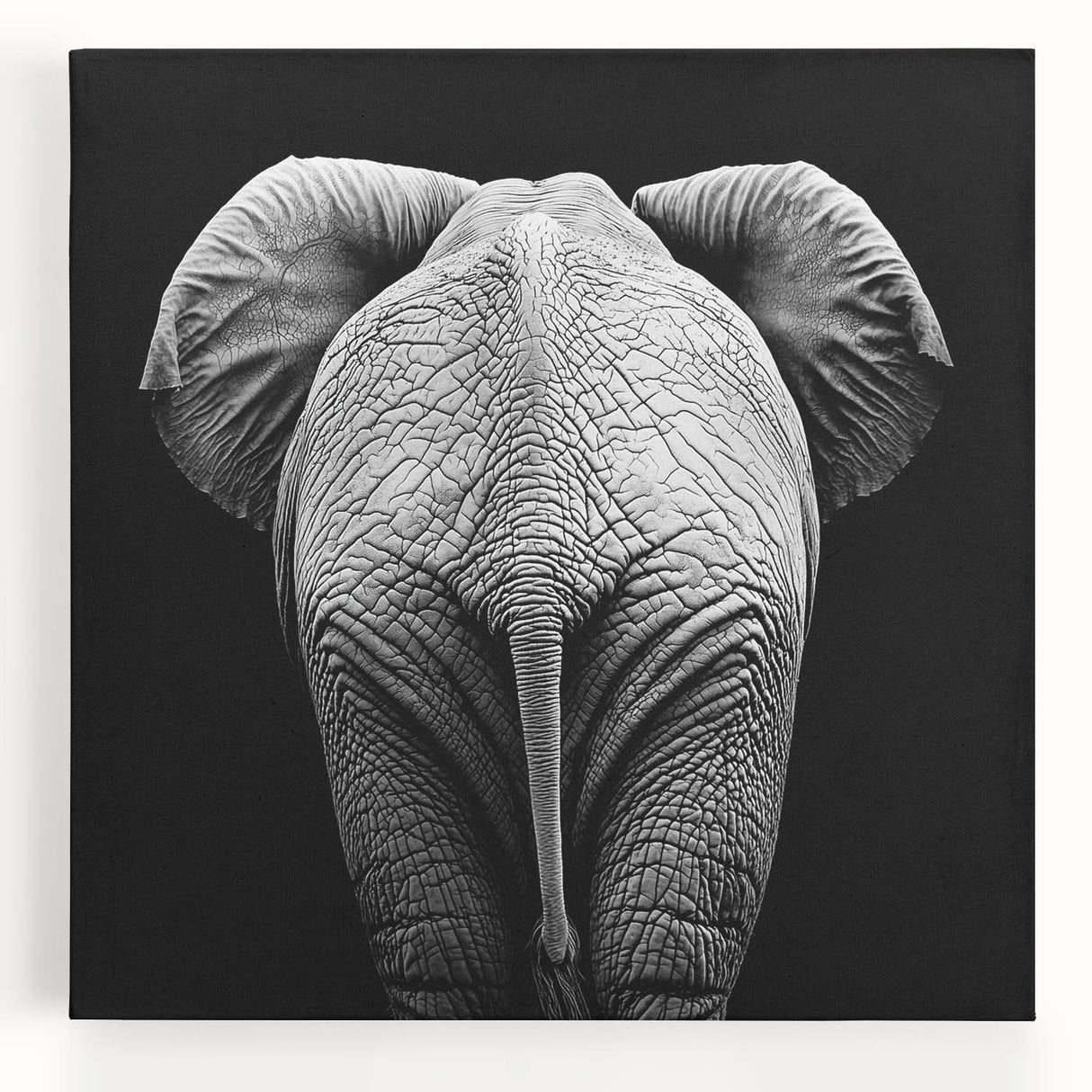 Vibrant stretched canvas showcasing a beautifully detailed design of various animals in a colorful, artistic style, perfect for enhancing home decor with a nature theme.