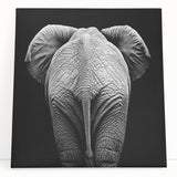 Colorful animal-themed stretched canvas artwork featuring a variety of wildlife designs, perfect for enhancing home decor, showcasing vibrant colors and intricate details. The canvas leans against a neutral wall, highlighting its artistic appeal and modern vibe.