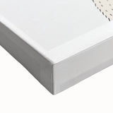 Lion Acrylic Nursery Art - Baby Room Wall Decor for Kids