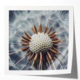 Extra large glossy photo print of vibrant floral close-ups, ideal for dining room or bathroom wall decor.