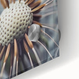 Close-up floral image in soft pastel shades on acrylic glass, suitable as bedroom or dining room art.