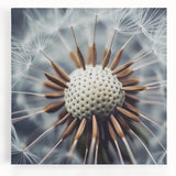 Black and white close-up floral photograph on large stretched canvas, suitable for kitchen wall art.
