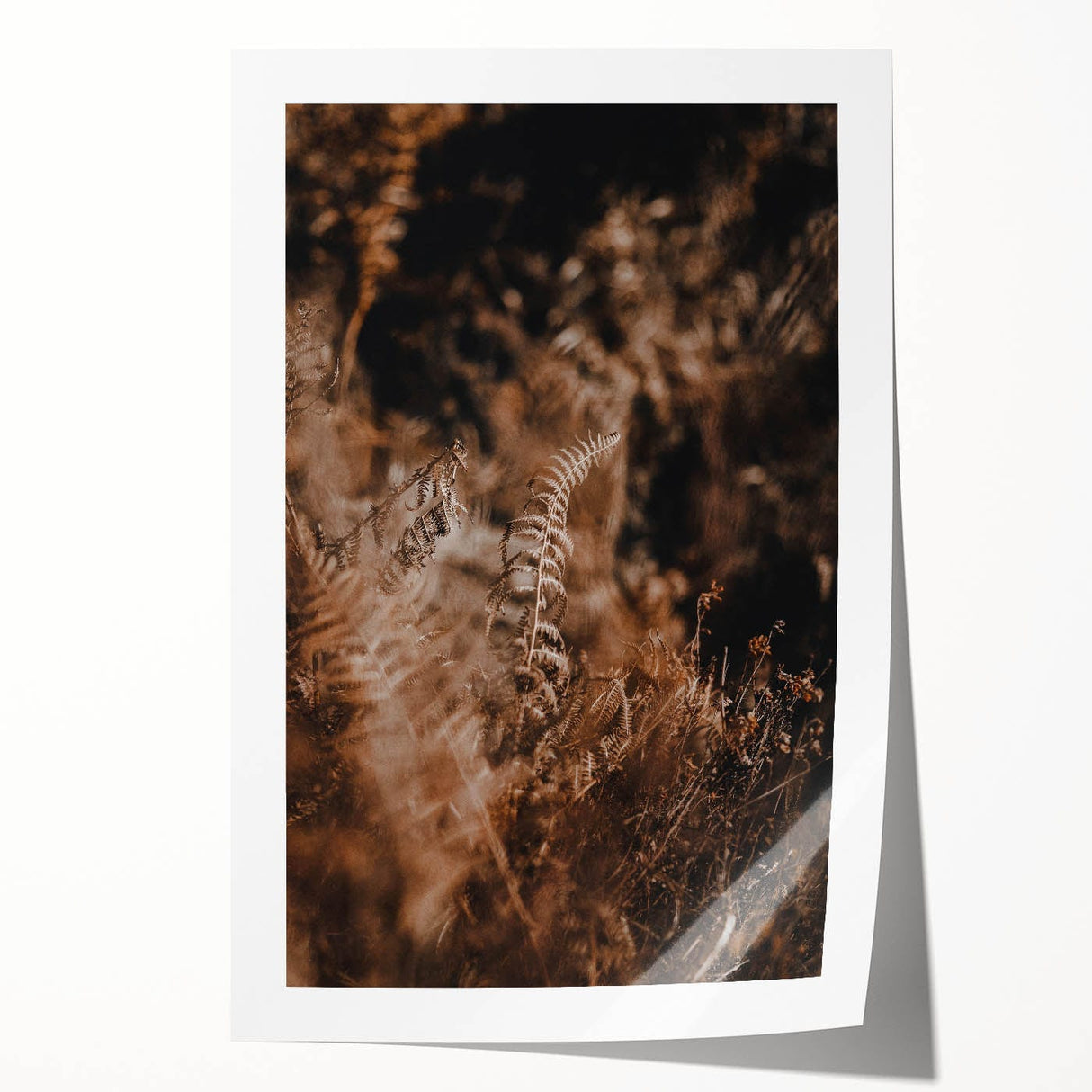 Extra large rolled print of autumnal floral art in warm orange and red tones.