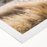 Extra large rolled canvas featuring a vibrant floral design, ideal for art wall dining room placement.