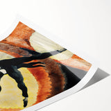 Modern Wall Art - Dynamic Acrobatic Dancer with Vibrant Energy