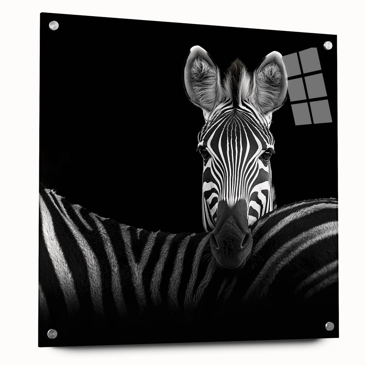 Acrylic glass artwork featuring a detailed side view of various colorful animals, mounted with decorative pins, ideal for enhancing modern home decor.