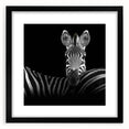 Black-framed wall art featuring a whimsical animal design, showcasing vibrant colors and intricate details, ideal for enhancing home decor with a playful touch.