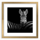 Framed animal print artwork with a gold mat, showcasing a vibrant wildlife design, ideal for enhancing home decor with a touch of nature.