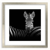 Silver-framed wall art featuring a collection of illustrated animals, elegantly matted for a refined presentation, ideal for enhancing home decor.