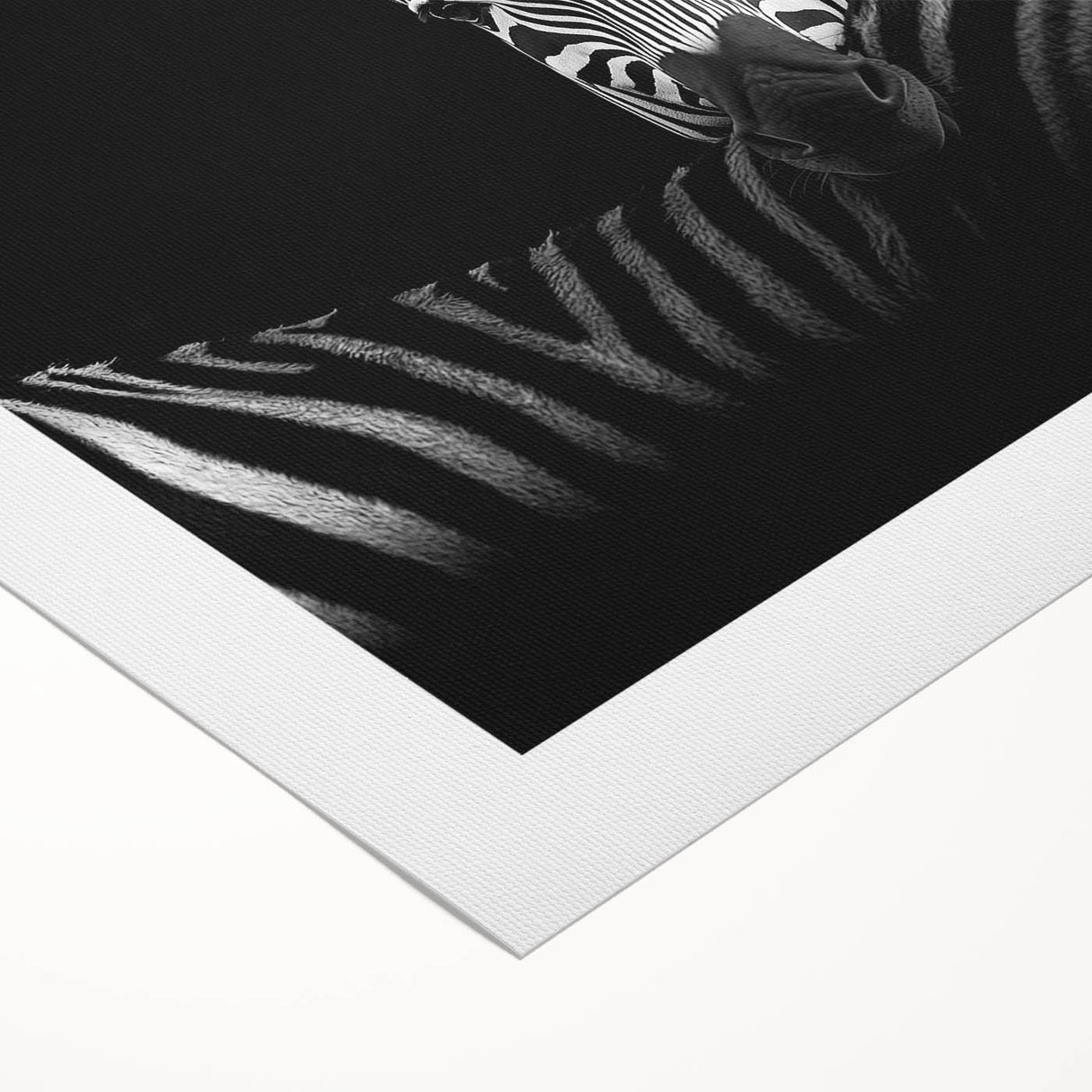 Rolled canvas showcasing a vibrant African animal design, featuring intricate patterns and colors, securely packaged in a protective cardboard tube for safe transport.
