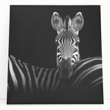Stretched canvas artwork depicting a vibrant animal design, showcasing rich colors and intricate details, perfect for enhancing home decor. Ideal for animal lovers and art enthusiasts.
