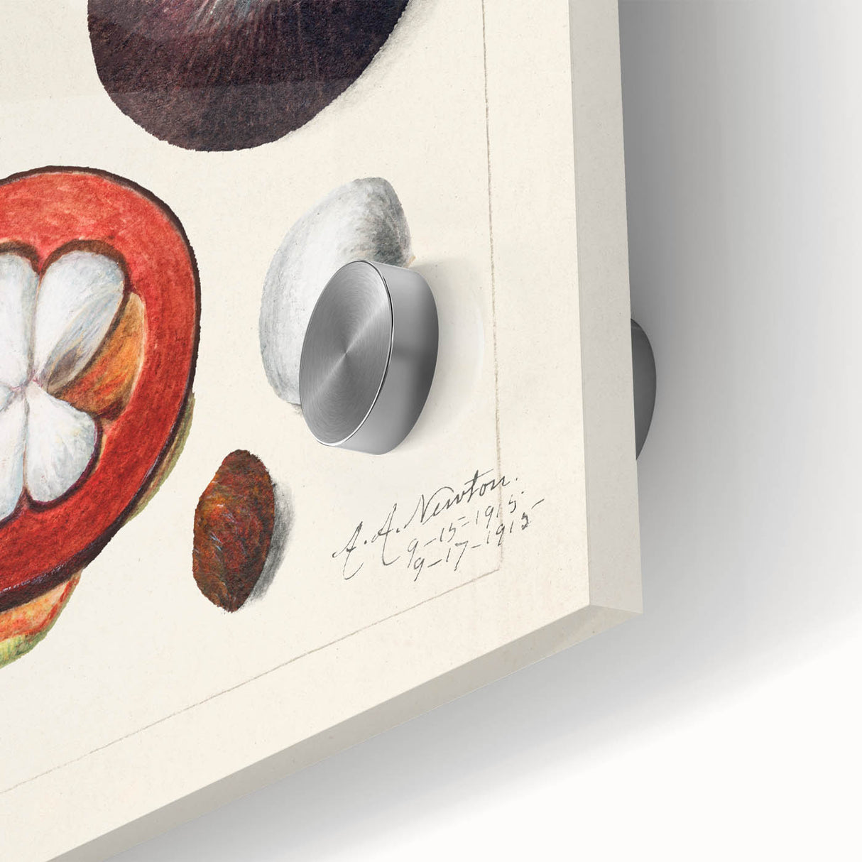 Large abstract wall art featuring assorted fruits in vibrant colors on acrylic glass, ideal for dining room decor.