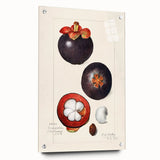 Acrylic print of large abstract fruit motifs in vibrant colors, suitable for bedroom or dining room decor.