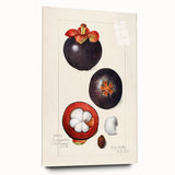 Large abstract wall art featuring vibrant fruits on acrylic glass, ideal for bedroom or dining room decor.