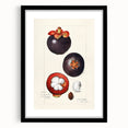 Extra large abstract art print featuring colorful, textured depiction of fruits, in a black frame with mat.