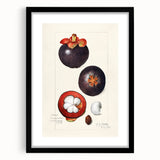 Extra large abstract art print featuring colorful, textured depiction of fruits, in a black frame with mat.