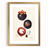 Extra large abstract art print featuring textured fruits in vibrant colors, framed in gold, ideal for living room decor.
