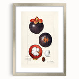 Textured abstract art print of assorted fruits in muted earth tones, framed with a silver mat, suitable for bedroom decor.
