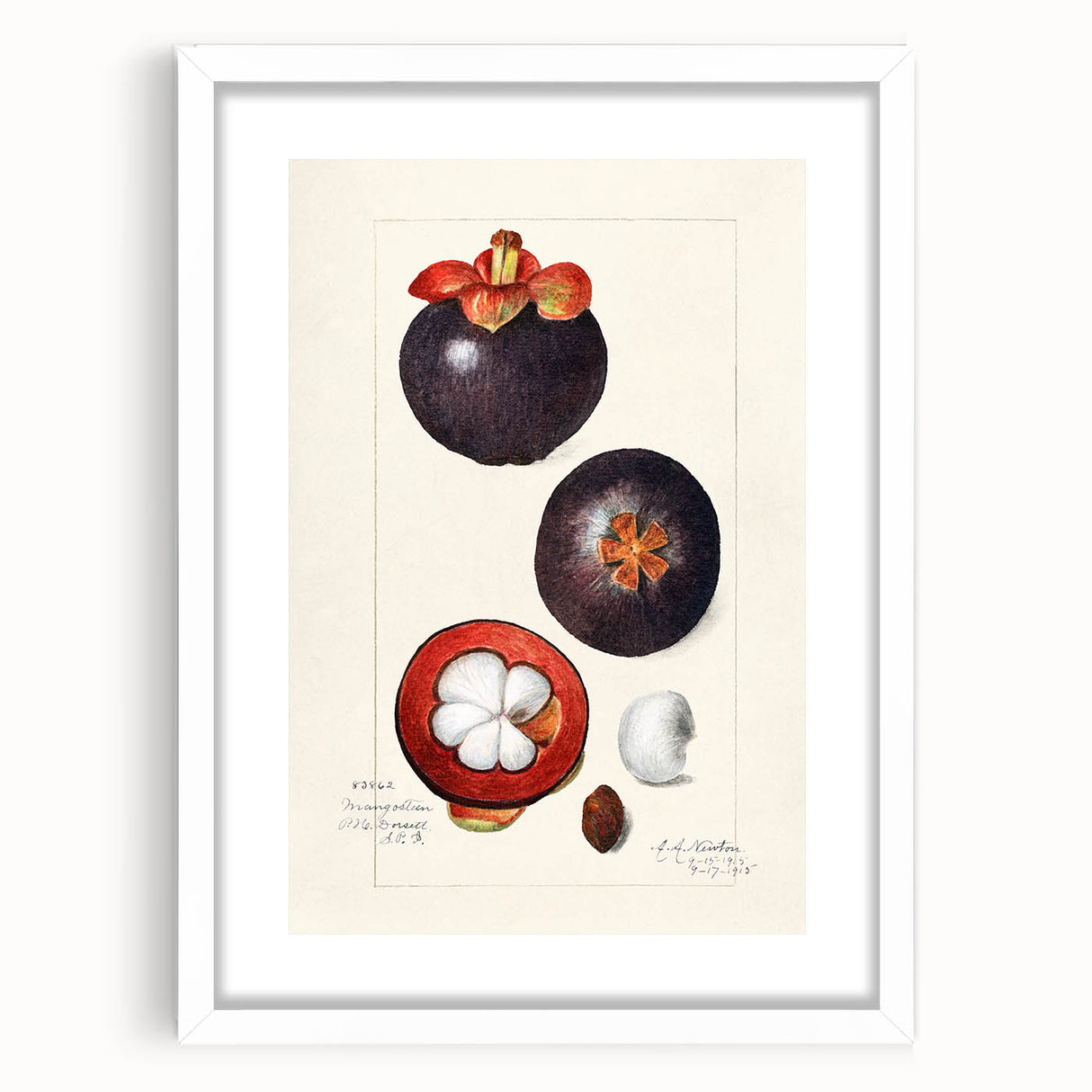 Abstract art print of assorted fruits in vibrant colors on a white framed mat, ideal for dining room decor.
