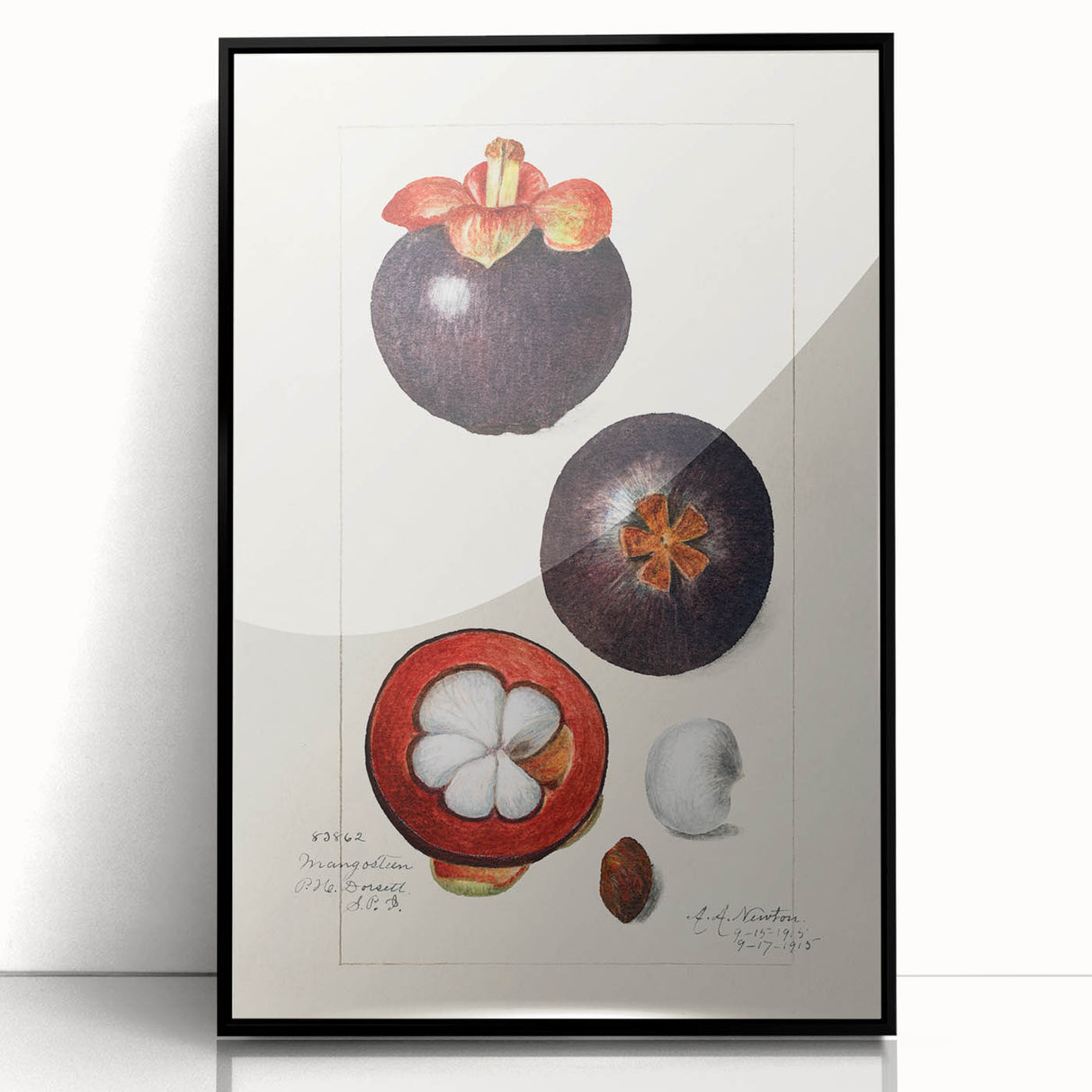 Large abstract wall art featuring assorted fruits in bold colors on a black acrylic framed print, suitable for kitchen decor.