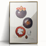 Large art print of assorted fruits in vibrant colors on a gold acrylic framed canvas, ideal for modern kitchen decor.