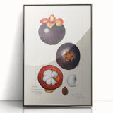 Mid-century modernist art of assorted fruits in vibrant colors on a silver-framed acrylic print.