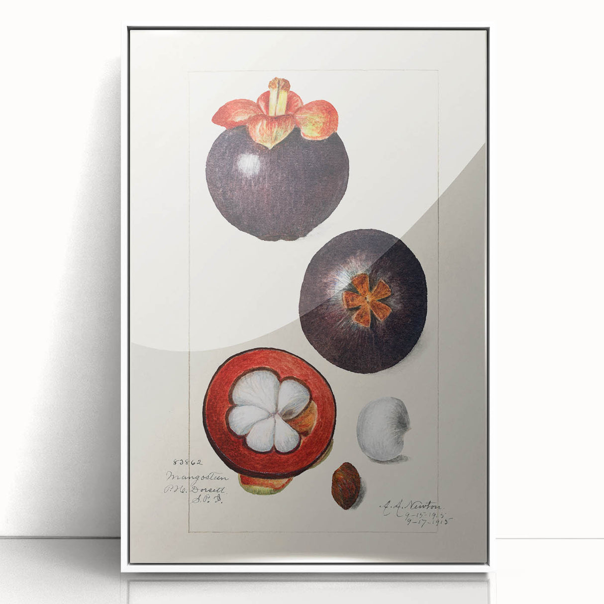 Acrylic print of colorful fruits in art deco style, framed in white, suitable for modern nursery decor.