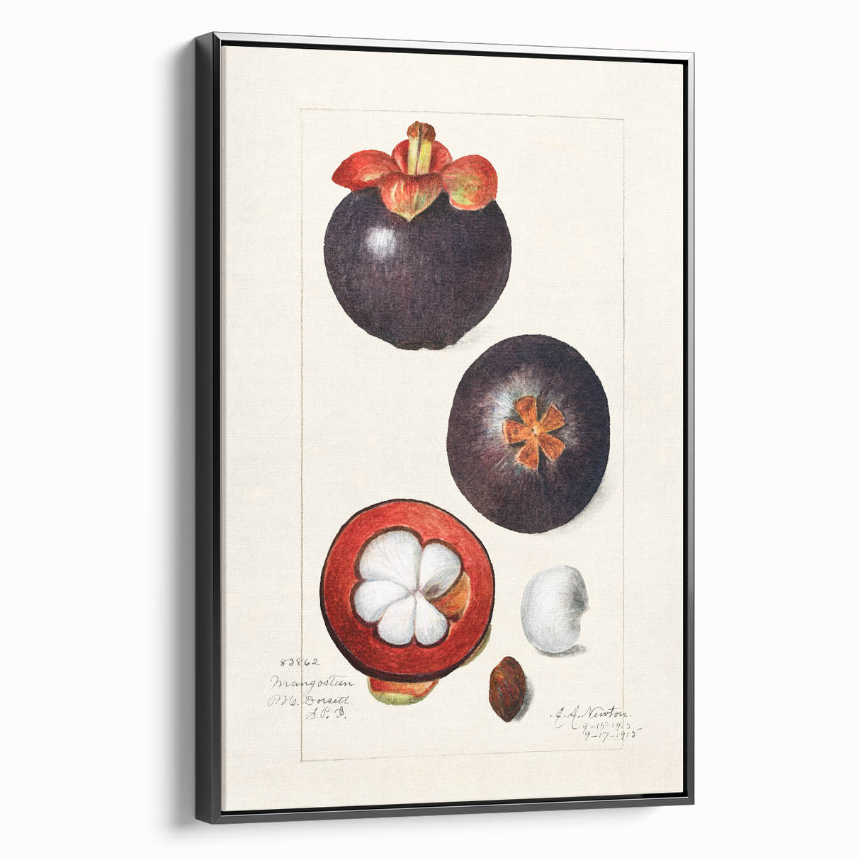 Black and white framed canvas featuring a vintage poster art of various fruits, ideal for bedroom wall decor.