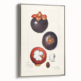Framed canvas landscape art paintings featuring colorful, vintage-style fruit motifs on a black background.