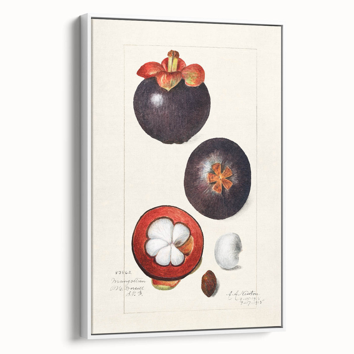 Vintage poster art featuring an assortment of colorful fruits on a large white framed canvas, ideal for living room decor.