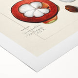 Art deco poster of assorted fruits in vibrant colors on rolled canvas, ideal for dining room wall art.