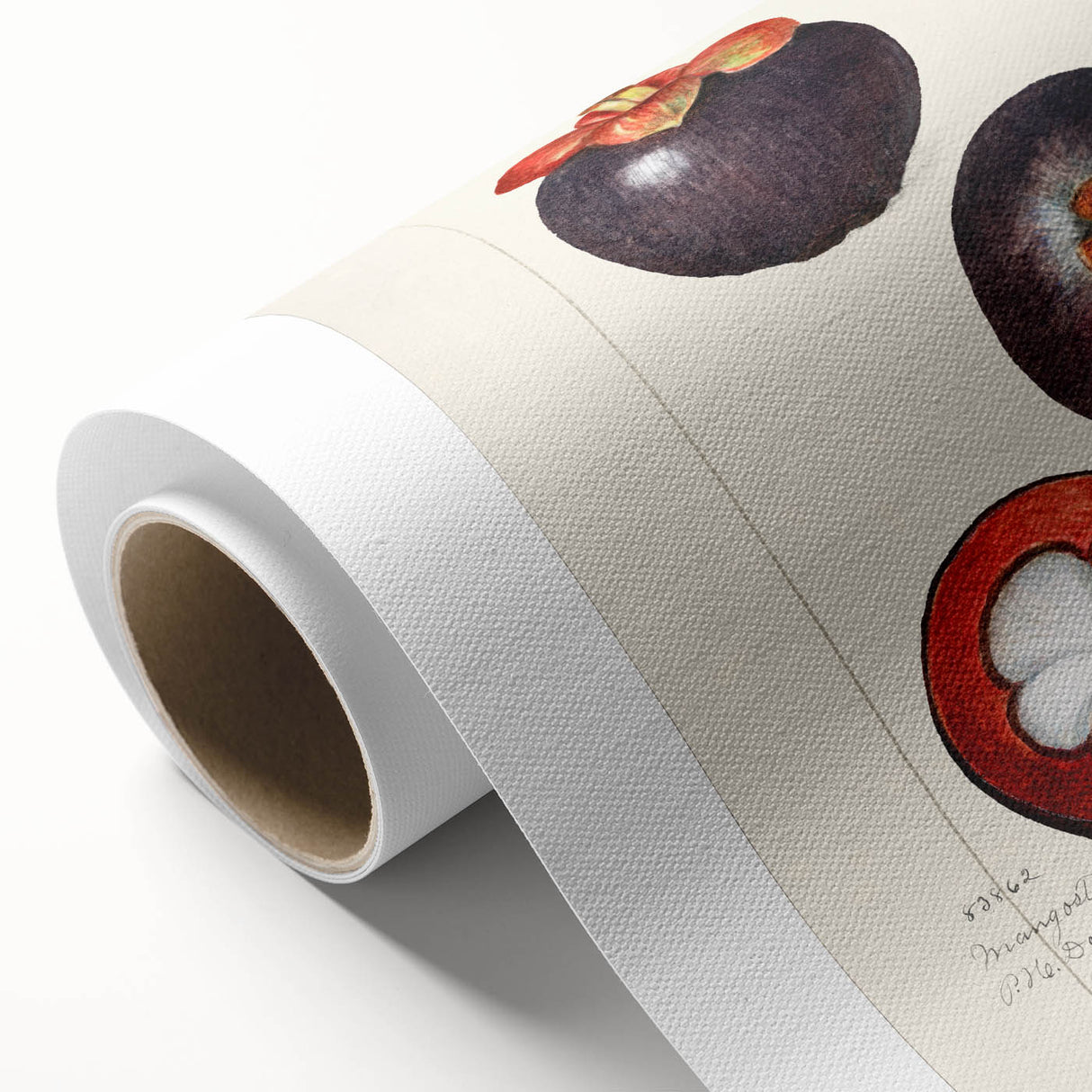 Art deco poster featuring an array of colorful fruits on rolled canvas.