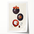 Rolled canvas print featuring an array of colorful fruits and flowers, ideal for art wall dining room.