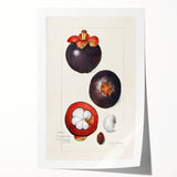 Rolled canvas print featuring an array of colorful fruits and flowers, ideal for art wall dining room.