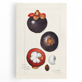 Large black and white canvas featuring a variety of fruits, ideal for kitchen wall art.