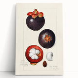 Black and white stretched canvas featuring an assortment of fruits, ideal for kitchen wall art.