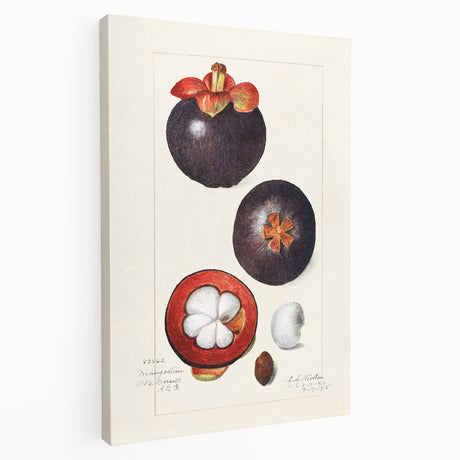 Large art featuring an array of colorful fruits on a white background, printed on stretched canvas.