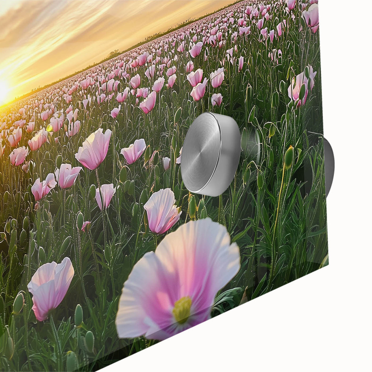 Vibrant close-up of a landscape field design printed on acrylic glass, showcasing rich colors and intricate details that enhance the artwork's depth and texture. Ideal for home decor enthusiasts seeking modern, eye-catching wall art.