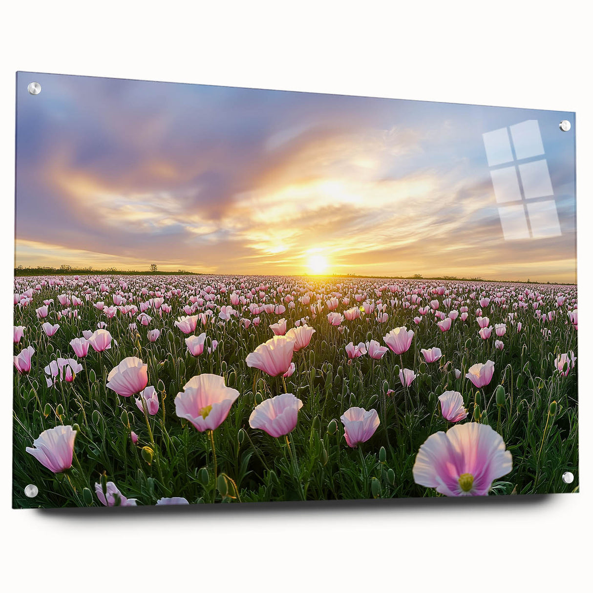 Vibrant landscape artwork displayed in a side view, showcasing fields painted on acrylic glass with colorful pins, perfect for modern home decor.
