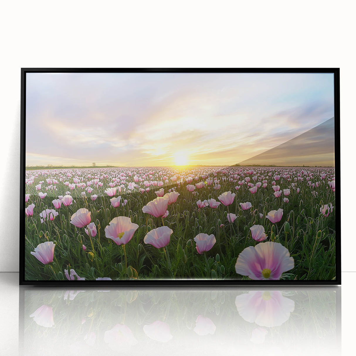 Framed acrylic artwork showcasing a vibrant landscape of colorful fields under a bright blue sky, with a sleek black frame enhancing its modern aesthetic. Ideal for home decor.