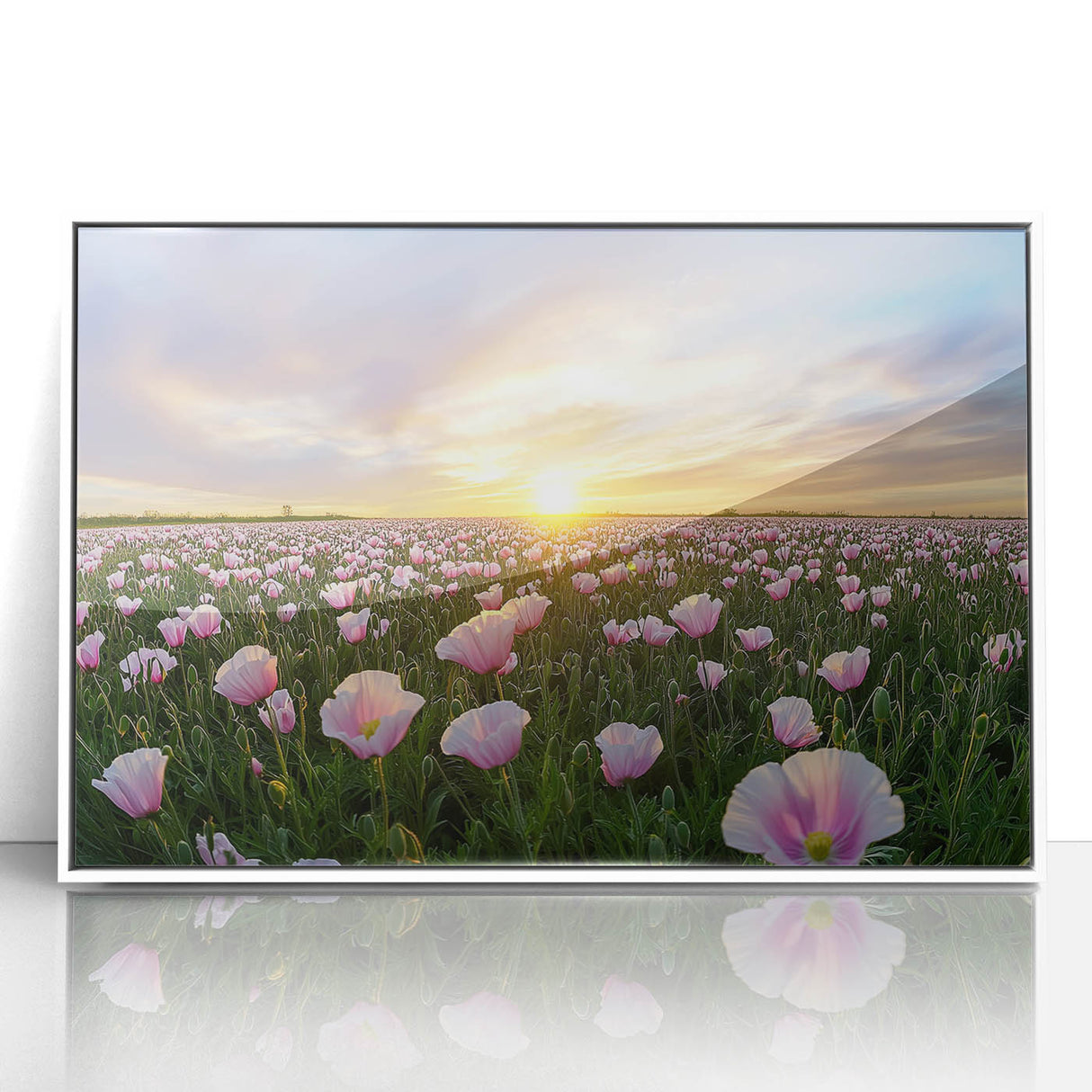 Framed acrylic artwork of serene landscapes depicting vibrant green fields under a clear blue sky, showcasing nature's beauty in a modern white frame. Perfect for home decor.