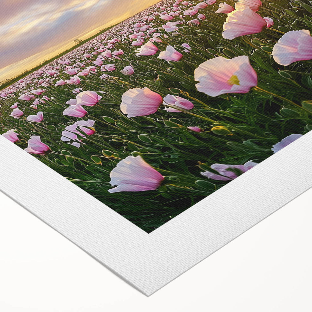 Vibrant rolled canvas showcasing a serene landscape of golden fields under a blue sky, elegantly packaged in a protective cardboard tube for shipping.