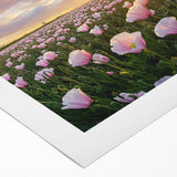 Vibrant rolled canvas showcasing a serene landscape of golden fields under a blue sky, elegantly packaged in a protective cardboard tube for shipping.