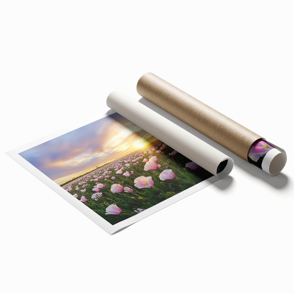 Vibrant rolled canvas print showcasing a serene landscape of golden fields under a blue sky, elegantly packaged in a protective cardboard tube for easy display.